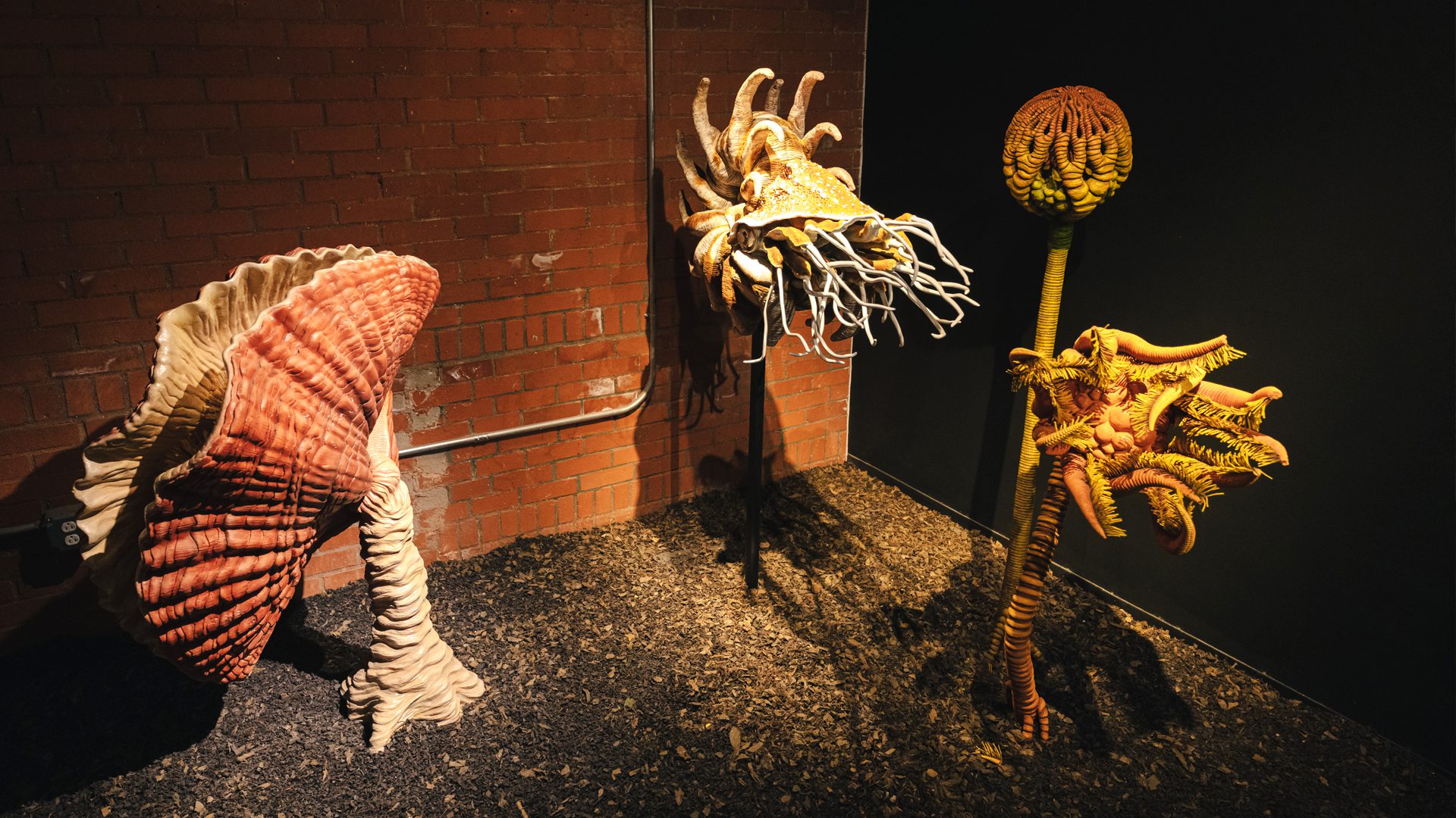 HMNS Exhibitions